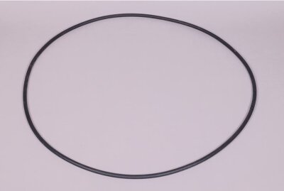 Astral O-Ring für Edelstahl Filteranlage D600 (07493)