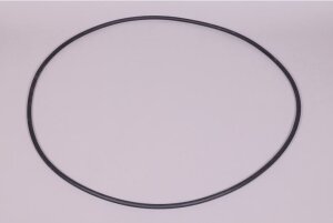 Astral O-Ring für Edelstahl Filteranlage D600 (07493)