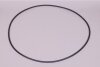 Astral O-Ring für Edelstahl Filteranlage D600 (07493)