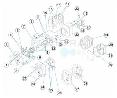 Astral Gegenstromanlage Gewindetülle mit Schlauch zu Jetarmatur
