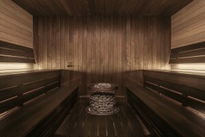 Elektrischer Saunaofen HIVE 12 kW