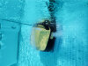 Dolphin E40i Poolroboter mit WLAN & App – bis 12 m