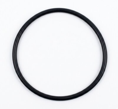 Ersatzteil O-Ring f&uuml;r Pumpendeckel Astralpool Magic 4-11