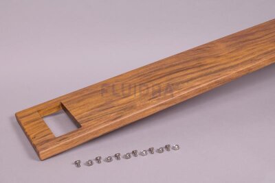 Astral Blende für Astral Dusche Pluvium Solar (HAN 4401043619)