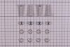 Astral Schraube für Startblock "Flex" V4A (HAN 4401060011)