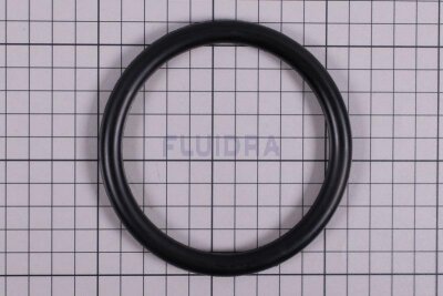 Astral O-Ring für UWS LumiPlus LED-PAR56 V2.0 Betonbecken Edelstahl  (HAN 4403010054)