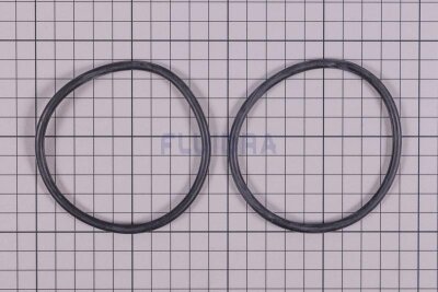 Astral O-Ring für Filterbehälter Cantabric (HAN 4404010351)