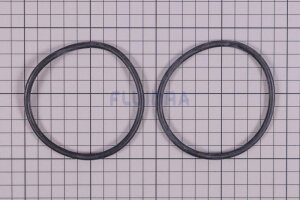 Astral O-Ring für Filterbehälter Cantabric (HAN...