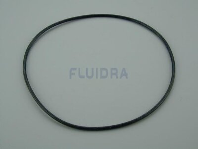 Astral O-Ring für Aktion HydroSpin Vorfilter ohne Wandhalterung (HAN 4404020116)