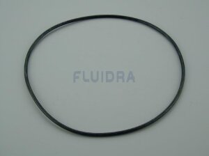 Astral O-Ring für Aktion HydroSpin Vorfilter ohne...