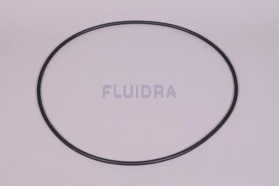Astral O-Ring für Astralpool Edelstahlfilter Höhe (HAN 4404060000)