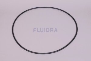 Astral O-Ring für Astralpool Edelstahlfilter...