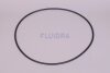Astral O-Ring für Astralpool Edelstahlfilter Höhe (HAN 4404060000)