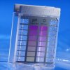 Lovibond DPD Pooltester ECO Chlor und pH