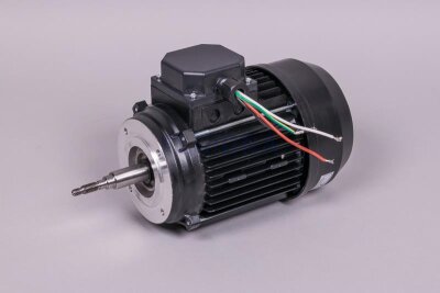Astral Motor für Filterpumpe NAUTILUS (HAN 20607R0475)