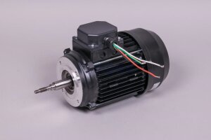 Astral Motor für Filterpumpe NAUTILUS (HAN 20607R0475)