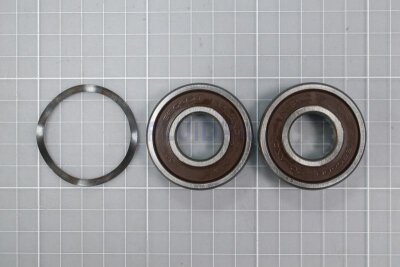 Astral Motor für Filterpumpe NAUTILUS (HAN 4405010136)