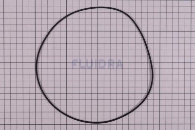 Astral Dichtung für Filterpumpe NAUTILUS (HAN 4405010160)