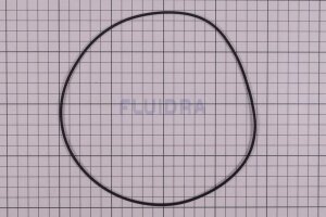 Astral Dichtung für Filterpumpe NAUTILUS (HAN...