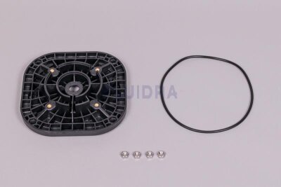 Astral Motor Schwarz für Fluidra Filterpumpe BMI (HAN 4405010419)