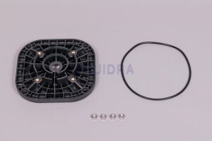 Astral Motor Schwarz für Fluidra Filterpumpe BMI...