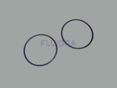 Astral O-Ring Schwarz für Fluidra Filterpumpe BMI (HAN 4405010438)