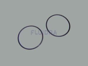 Astral O-Ring Schwarz für Fluidra Filterpumpe BMI...