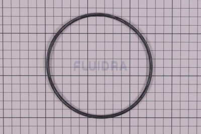 Astral O-Ring Schwarz für Fluidra Filterpumpe BMI (HAN 4405010437)