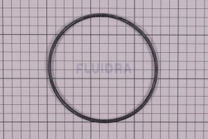 Astral O-Ring Schwarz für Fluidra Filterpumpe BMI...