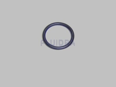 Astral O-Ring Schwarz für Fluidra Filterpumpe BMI (HAN 4405010439)
