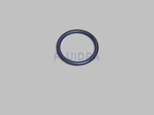 Astral O-Ring Schwarz für Fluidra Filterpumpe BMI...