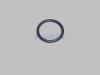 Astral O-Ring Schwarz für Fluidra Filterpumpe BMI (HAN 4405010439)