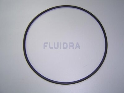 Astral O-Ring Schwarz für Fluidra Filterpumpe BMI (HAN 4405010440)
