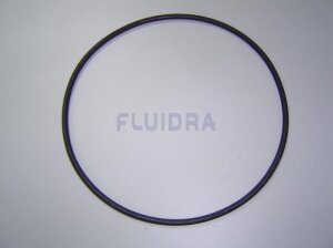 Astral O-Ring Schwarz für Fluidra Filterpumpe BMI...
