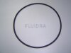 Astral O-Ring Schwarz für Fluidra Filterpumpe BMI (HAN 4405010440)