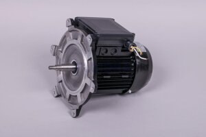 Astral Motor für NAUTILUS Silent Filterpumpe (HAN...