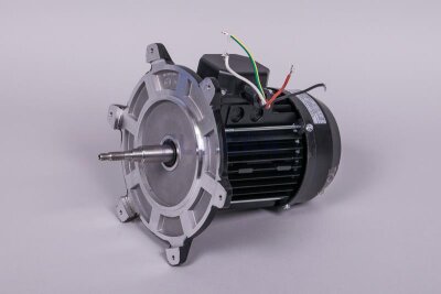 Astral Motor für NAUTILUS Silent Filterpumpe (HAN 65558R0475)