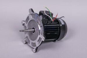 Astral Motor für NAUTILUS Silent Filterpumpe (HAN...
