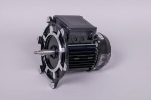 Astral Motor für NAUTILUS Silent Filterpumpe (HAN...