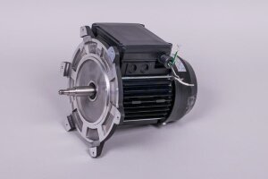 Astral Motor für NAUTILUS Silent Filterpumpe (HAN...