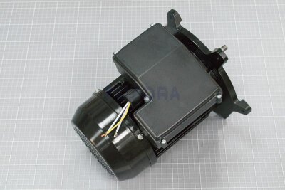 Astral Motor für NAUTILUS Silent Filterpumpe (HAN 65564R0475)