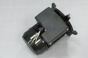 Astral Motor für NAUTILUS Silent Filterpumpe (HAN...
