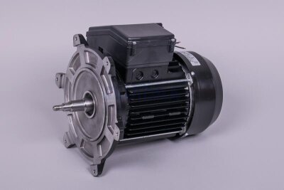 Astral Motor für NAUTILUS Silent Filterpumpe (HAN 65566R0475)