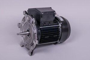Astral Motor für NAUTILUS Silent Filterpumpe (HAN...
