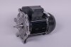 Astral Motor für NAUTILUS Silent Filterpumpe (HAN 65566R0475)