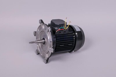 Astral Motor für NAUTILUS Silent Filterpumpe (HAN 65565R0475)