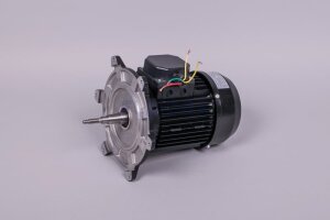 Astral Motor für NAUTILUS Silent Filterpumpe (HAN...