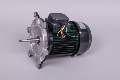 Astral Motor für NAUTILUS Silent Filterpumpe (HAN 65567R0475)