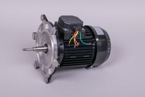 Astral Motor für NAUTILUS Silent Filterpumpe (HAN...