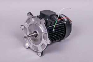 Astral Motor für NAUTILUS Silent Filterpumpe (HAN...